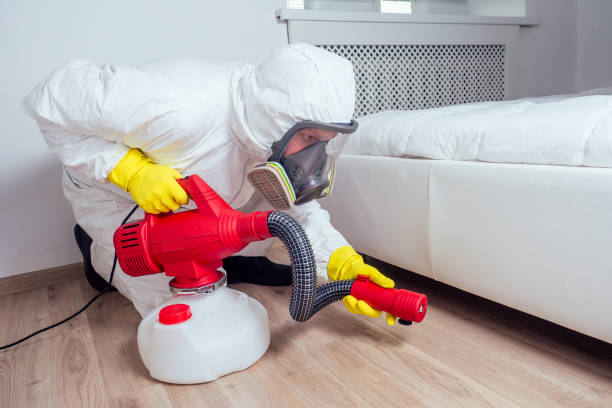 Best Fumigation Services  in Houghton, NY